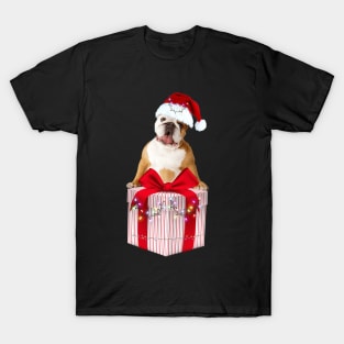 Bulldog Christmas T-shirt T-Shirt